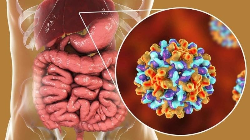 Nên uống hồng sâm vào lúc nào trong ngày là tốt nhất?