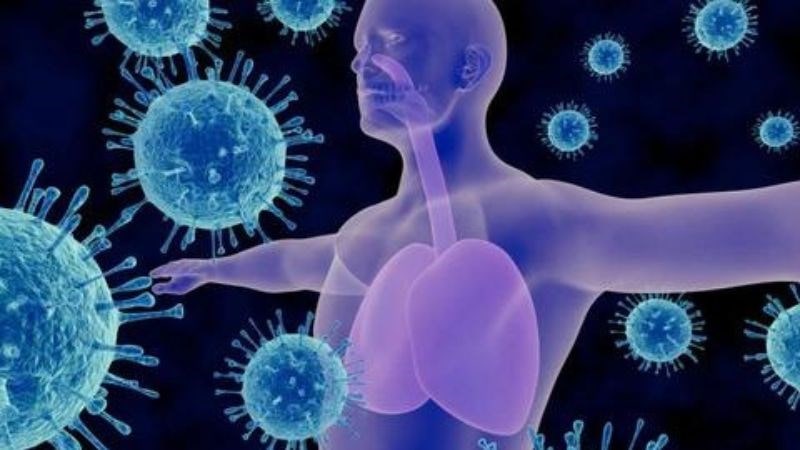 Ai nên - không nên dùng hồng sâm?