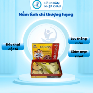 Nấm Linh Chi Thượng Hạng Hàn Quốc Cô Gái Geumsang