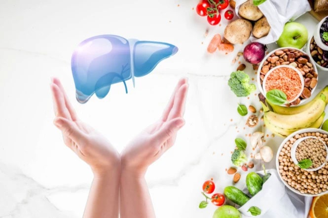 Vòng Tròn Tự Tái Tạo Của Cơ Thể - Chìa Khoá Sức Khoẻ Bền Vững